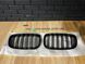 Решітки радіатора BMW X5 E70 X6 E71 M Performance глянець ніздрі 484 фото 3