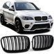 Решітки радіатора BMW X5 E70 X6 E71 M Performance глянець ніздрі 484 фото 1